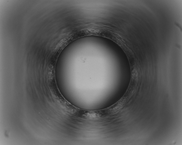 X0000099940464200806061522