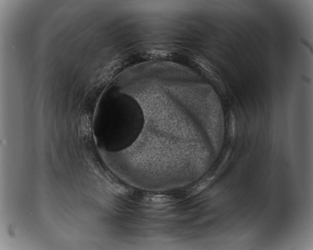 X0000099940467200806061522