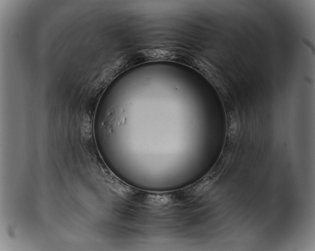 X0000099940469200806061522