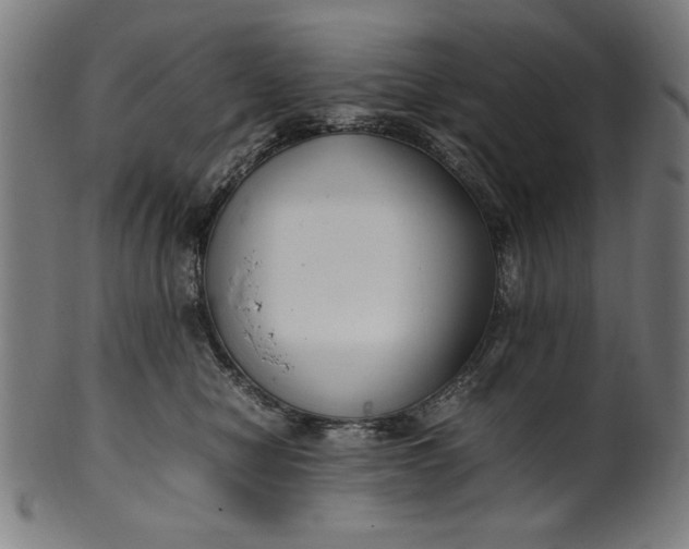X0000099940470200806061522
