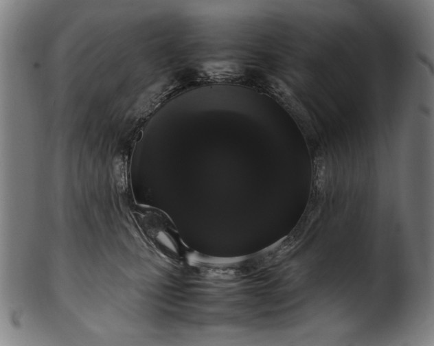 X0000099940471200806061522