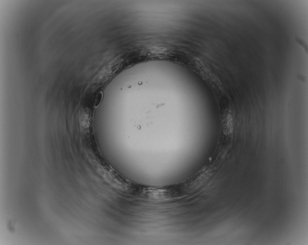 X0000099940472200806061522