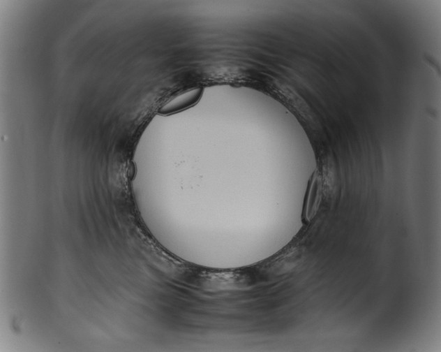 X0000099940473200806061522