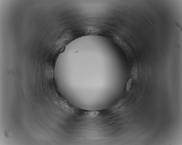 X0000099940474200806061522