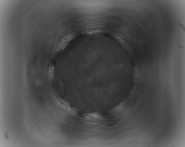 X0000099940475200806061522
