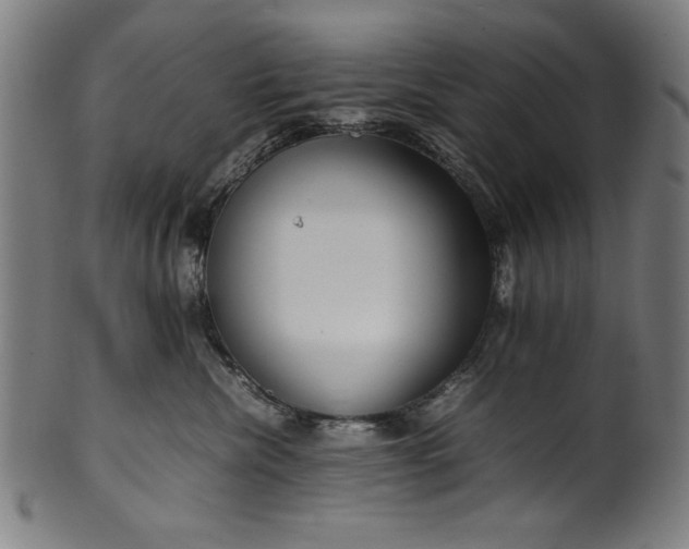 X0000099940476200806061522