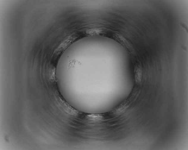 X0000099940477200806061522