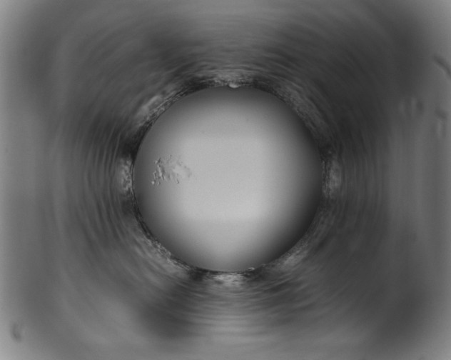 X0000099940478200806061522