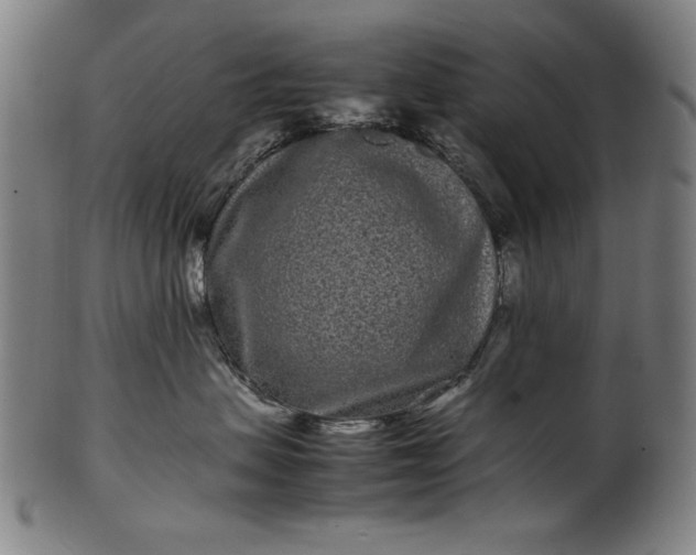 X0000099940479200806061522