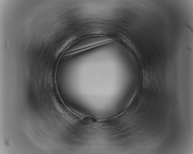 X0000099940482200806061522