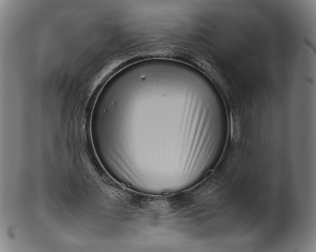 X0000099940483200806061522
