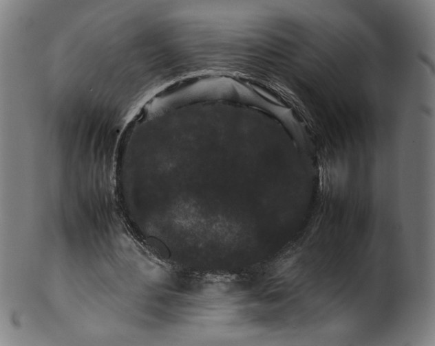 X0000099940484200806061522