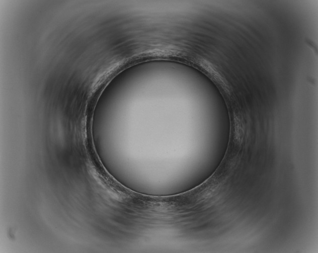 X0000099940486200806061522