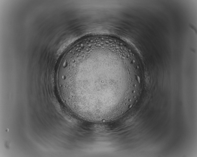 X0000099940487200806061522