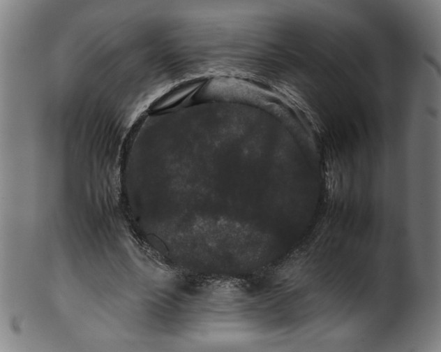 X0000099940488200806061522