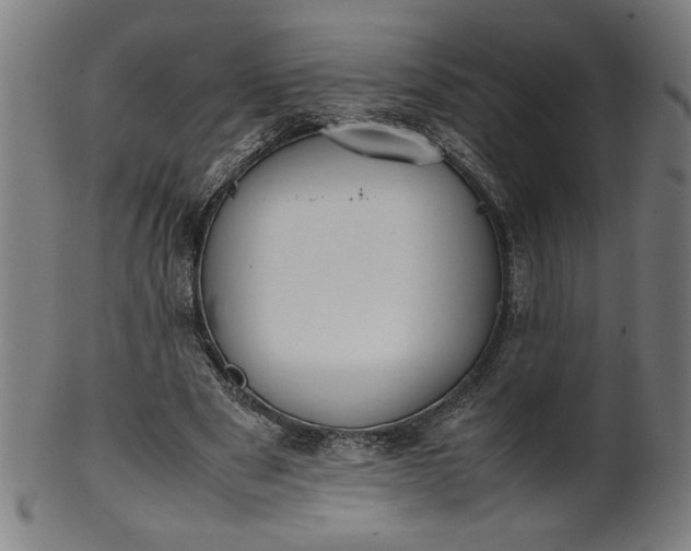 X0000099940489200806061522