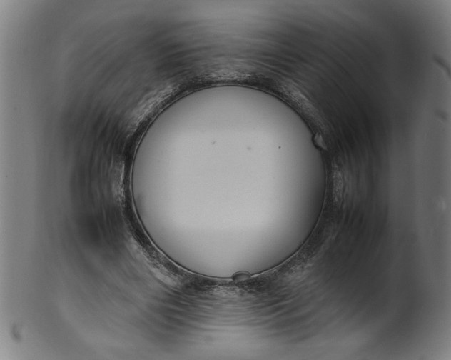 X0000099940490200806061522