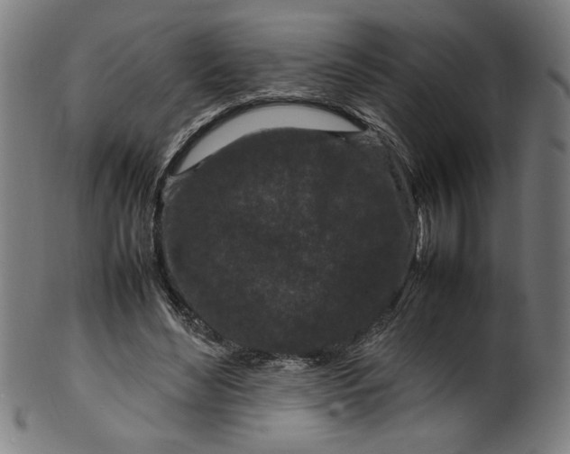 X0000099940492200806061522