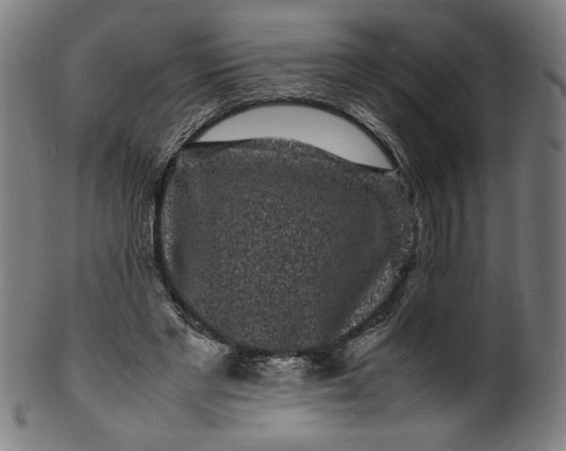X0000099940493200806061521