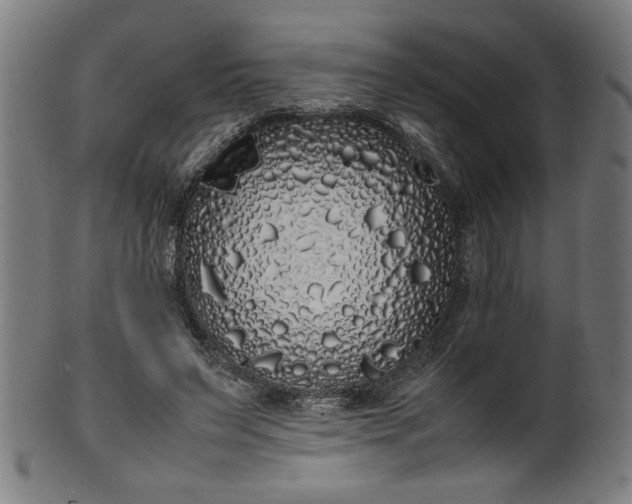 X0000099940495200806061521