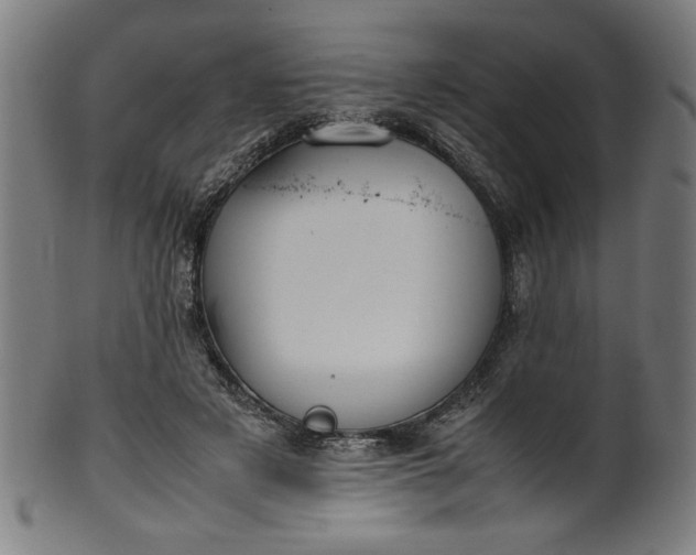 X0000099940497200806061521