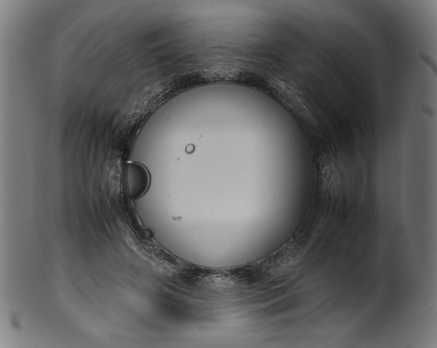 X0000099940498200806061521