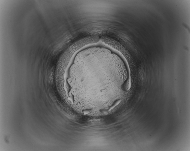 X0000099940499200806061521