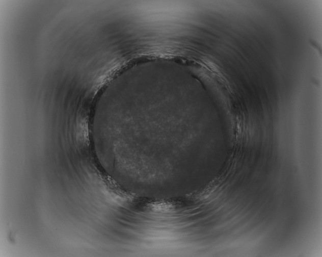 X0000099940500200806061521