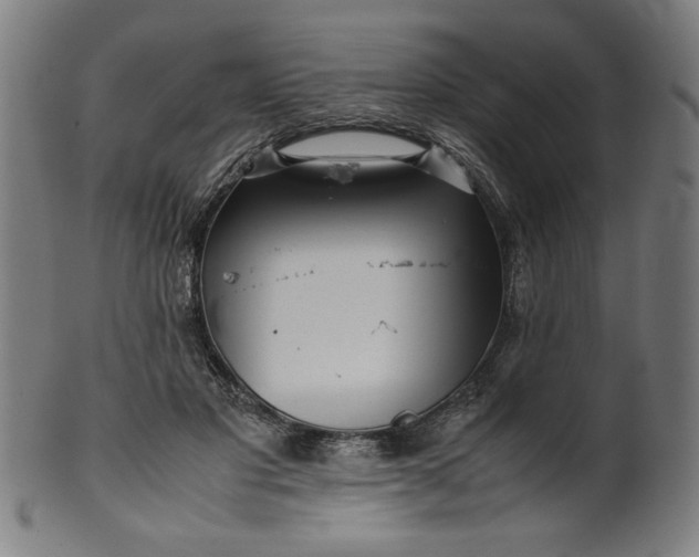X0000099940501200806061521