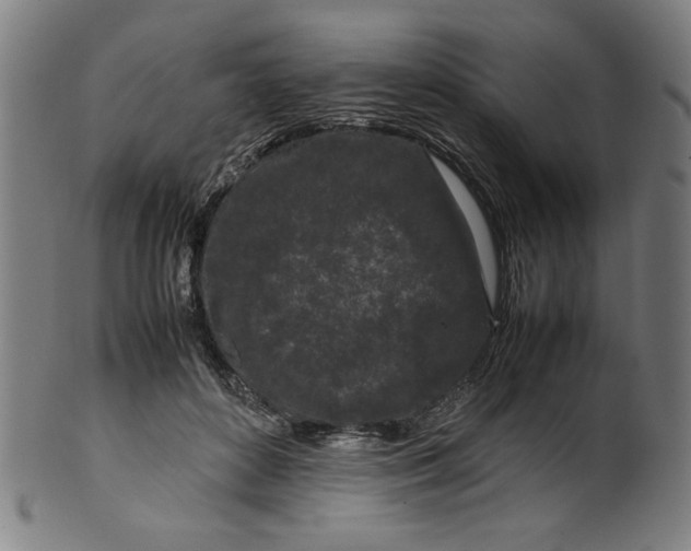 X0000099940504200806061521