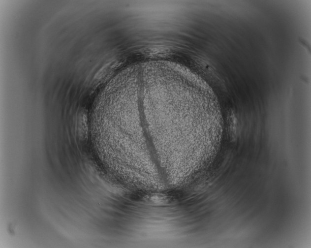 X0000099940506200806061521