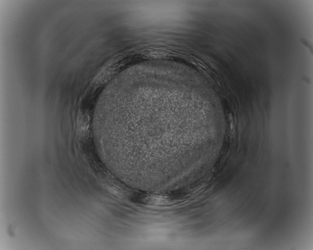 X0000099940507200806061521
