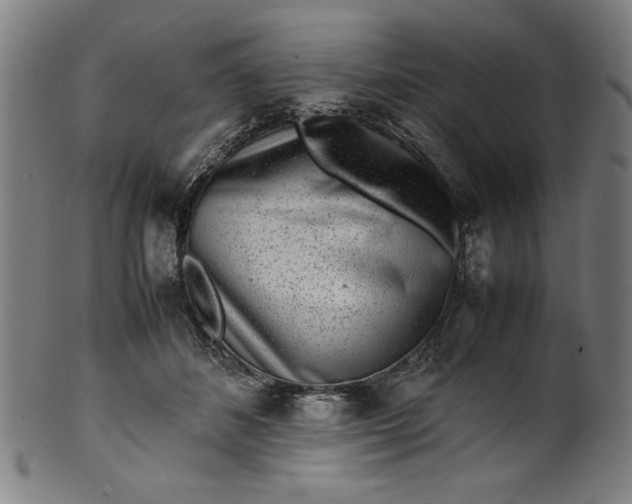 X0000099940508200806061521