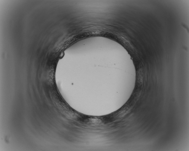 X0000099940509200806061521