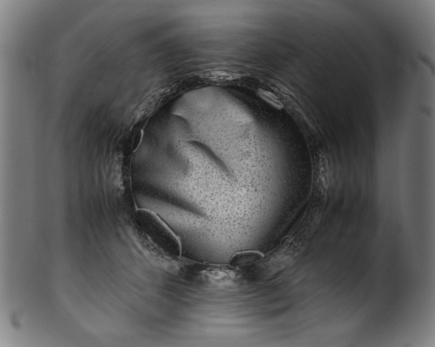 X0000099940512200806061521