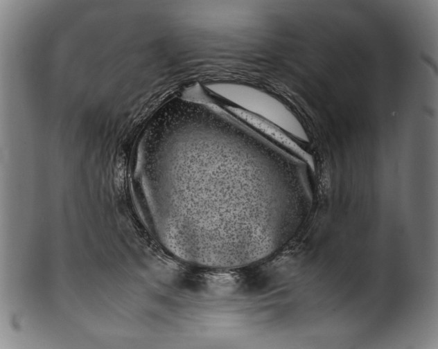 X0000099940513200806061521