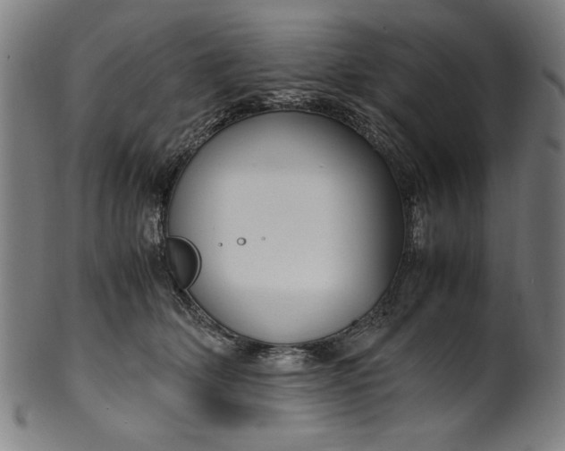 X0000099940514200806061521
