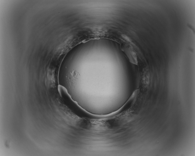 X0000099940516200806061521