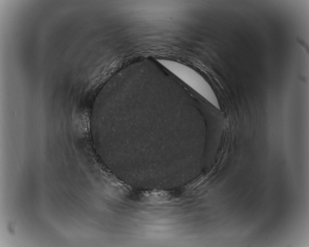X0000099940517200806061521