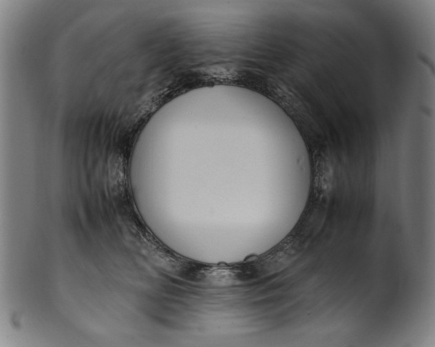 X0000099940518200806061521