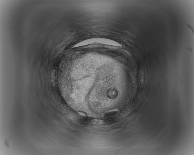 X0000099940519200806061521