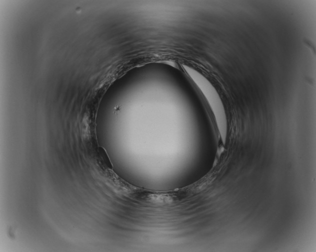 X0000099940520200806061521
