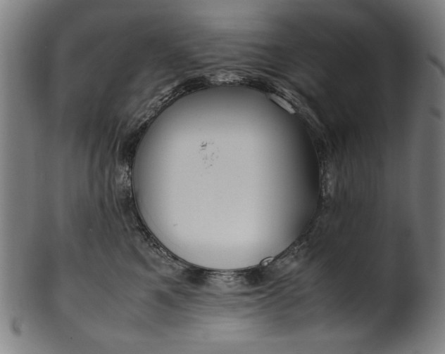 X0000099940521200806061521