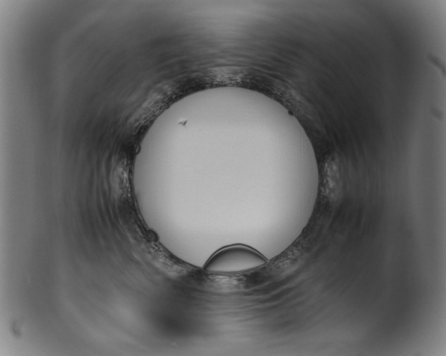 X0000099940522200806061521