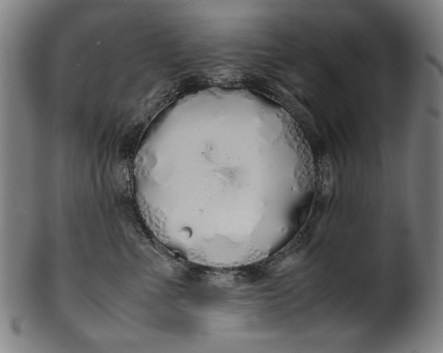 X0000099940523200806061521