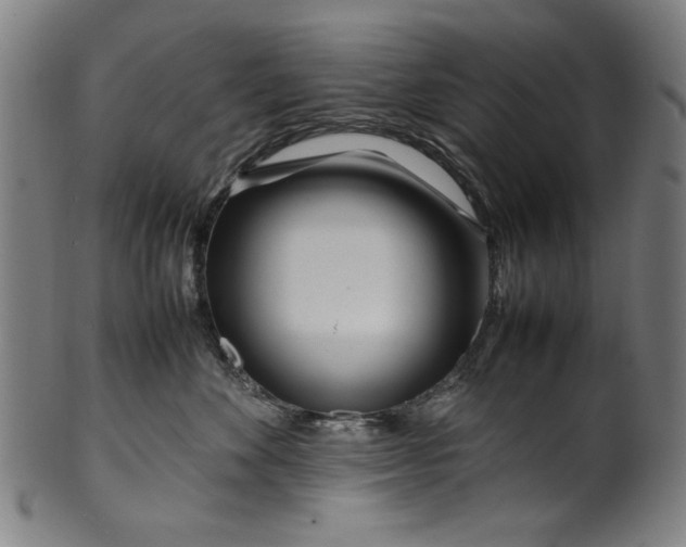 X0000099940524200806061521