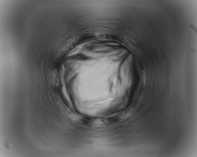 X0000099940527200806061521