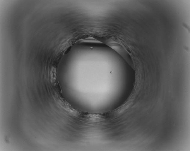 X0000099940528200806061521