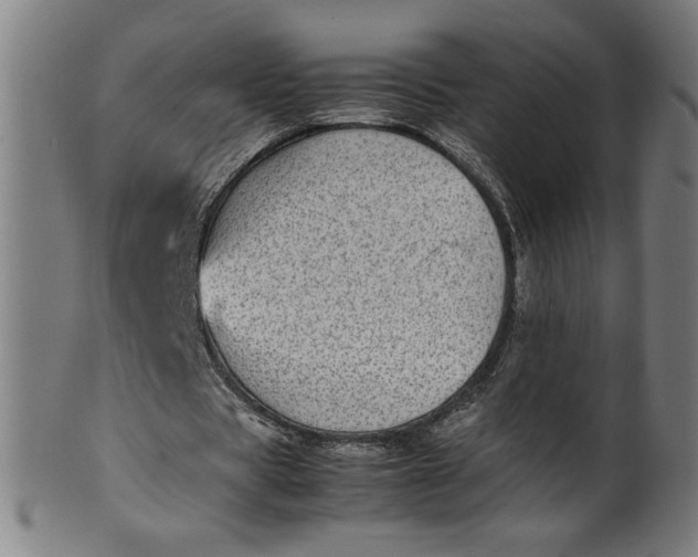 X0000099940529200806061520