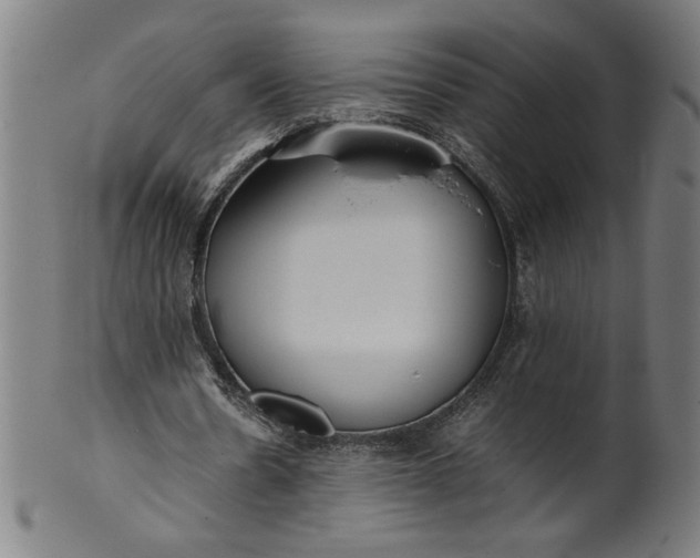 X0000099940530200806061520